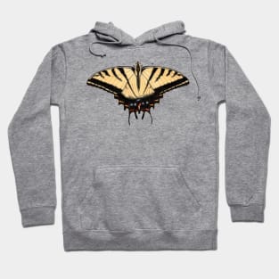 Two-tailed Swallowtail Hoodie